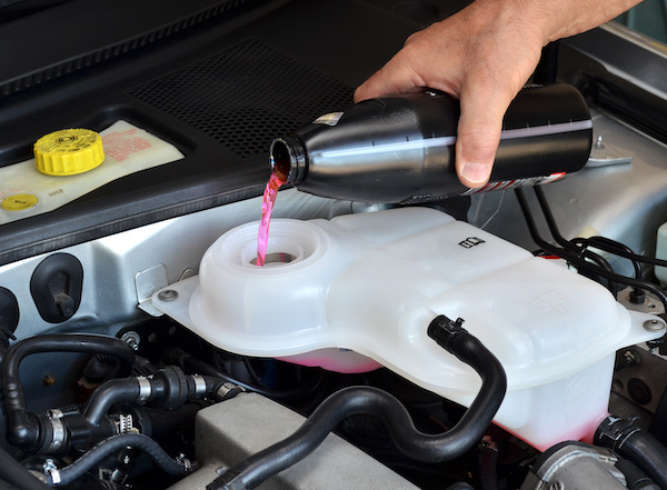  Everything That Goes Into Your Vehicle Fluid Service